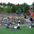 Crowd at park concert